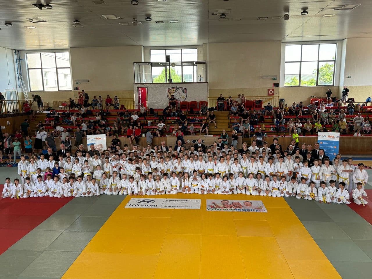 Judo.jpeg